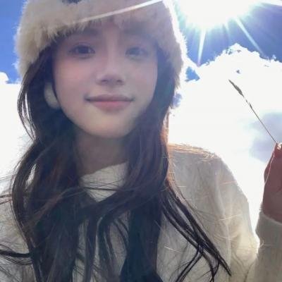 最后的维米尔