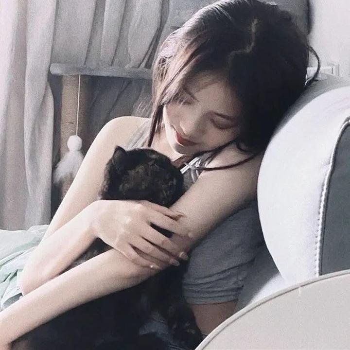 羔羊大律师